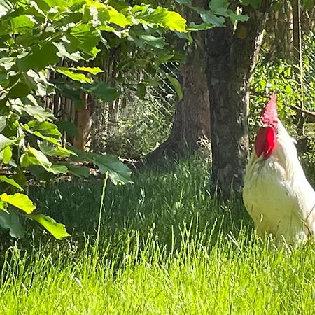 Appartamento Ferienhof