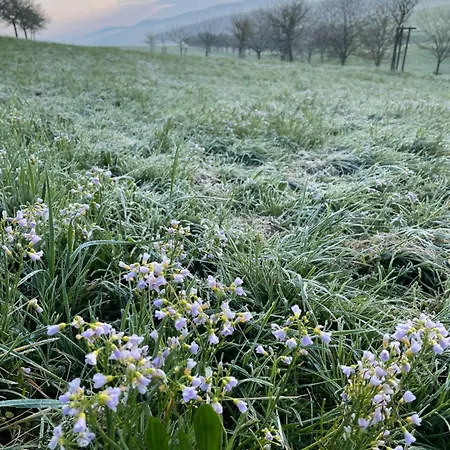 Appartement Ferienhof