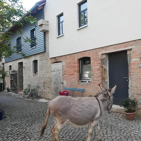 Ferienhofwaldesel Rippersroda