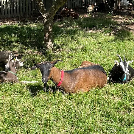 Appartement Ferienhof