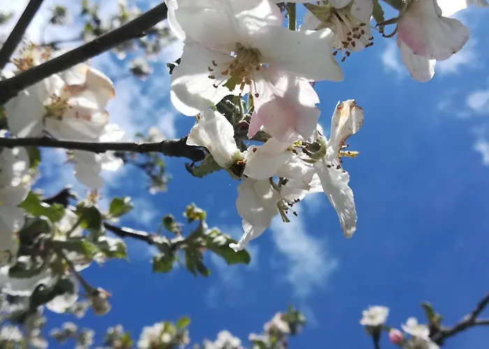 Apartamento Ferienhof