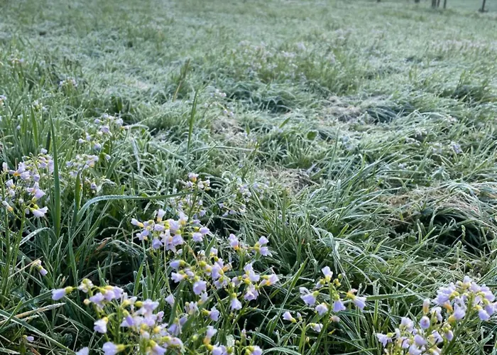 Apartamento Ferienhof