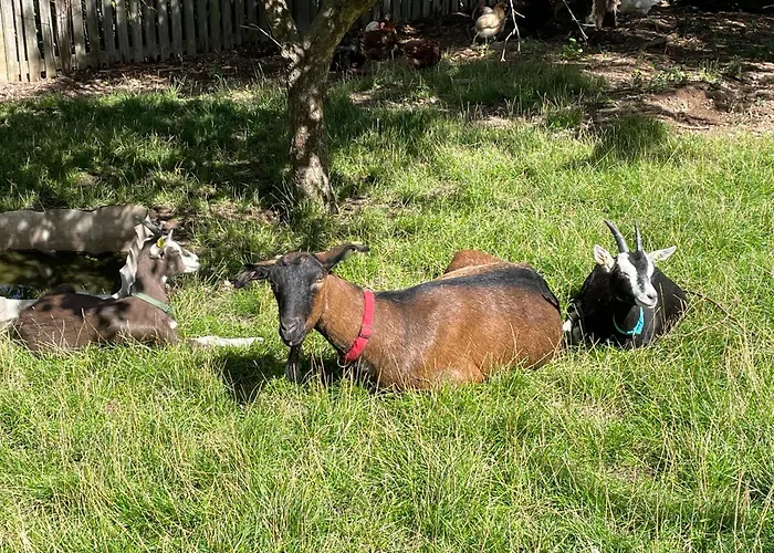 Apartamento Ferienhof