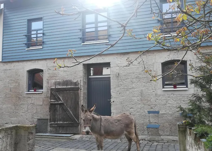 Apartamento Ferienhof